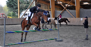 saut cheval