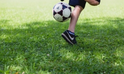 action-active-activity-972513_resultat.jpg