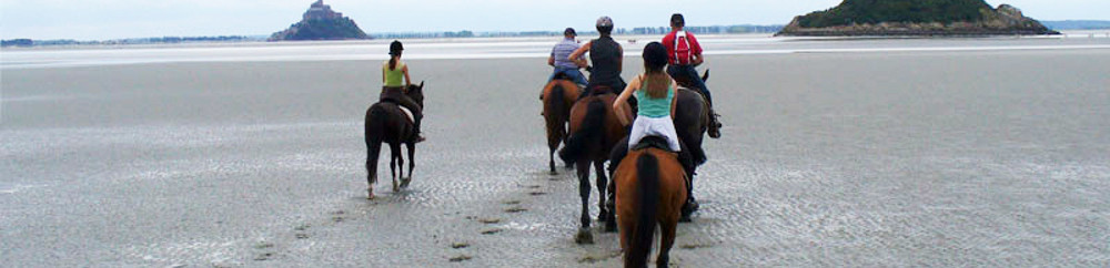 Bellangerie_chevaux