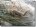Chenilles_processionnaires