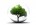 environnement1