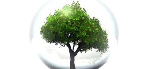 environnement1