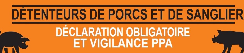 PORCS