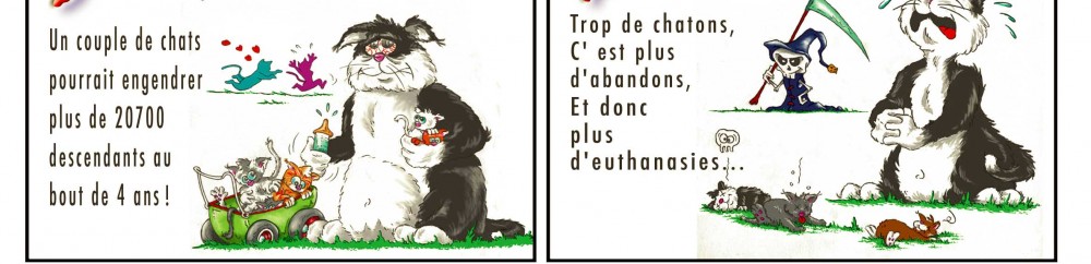 7 bonnes raisons de stériliser