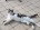 photo minette 2