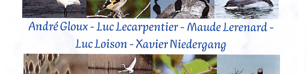Affiche Exposition photo St Martin des Champs