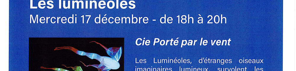 Chorégraphie lumineuse les luminéoles
