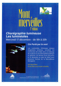 Chorégraphie lumineuse les luminéoles